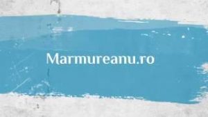 Logo MarmureanuWeb Blog - logo marmureanu.ro