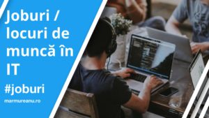 joburi in it - locuri de munca in it
