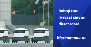 roboti-care-livreaza-singuri-acasa