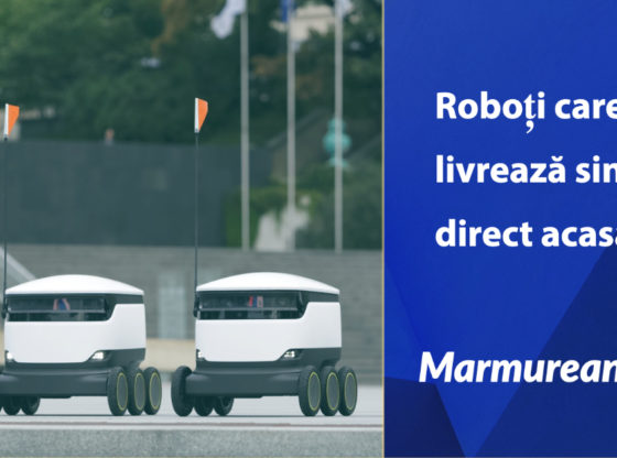 roboti-care-livreaza-singuri-acasa