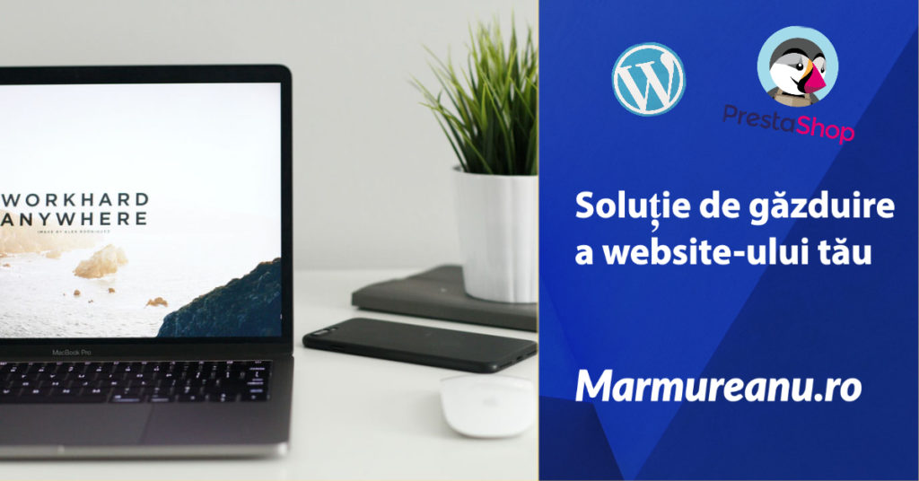 solutie de gazduire website marmureanu