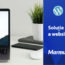 solutie de gazduire website marmureanu