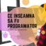 ce inseamna sa fii programator - un ghid pentru amatori