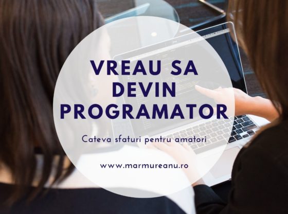 vreau sa devin programtor